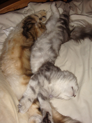 Stretched out!!!
