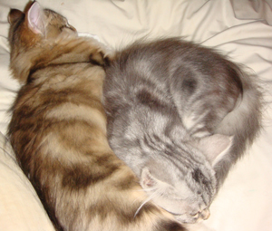 Sleepyheads...
