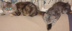 Altay and Tatyana