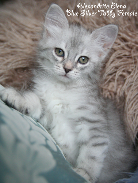 Elena @ 7 weeks