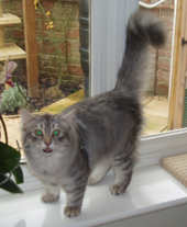 Freddie Dec 06