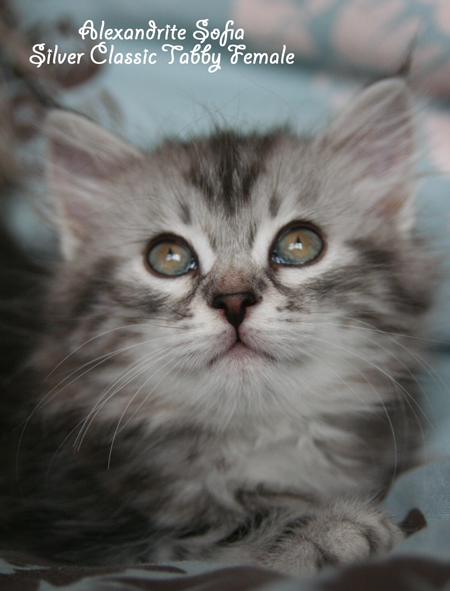 Sofia @ 7 weeks