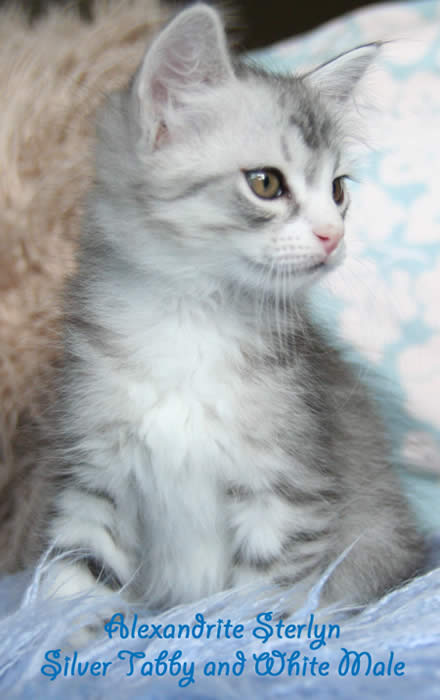 Sterlyn @ 7 weeks